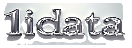 1idata logo